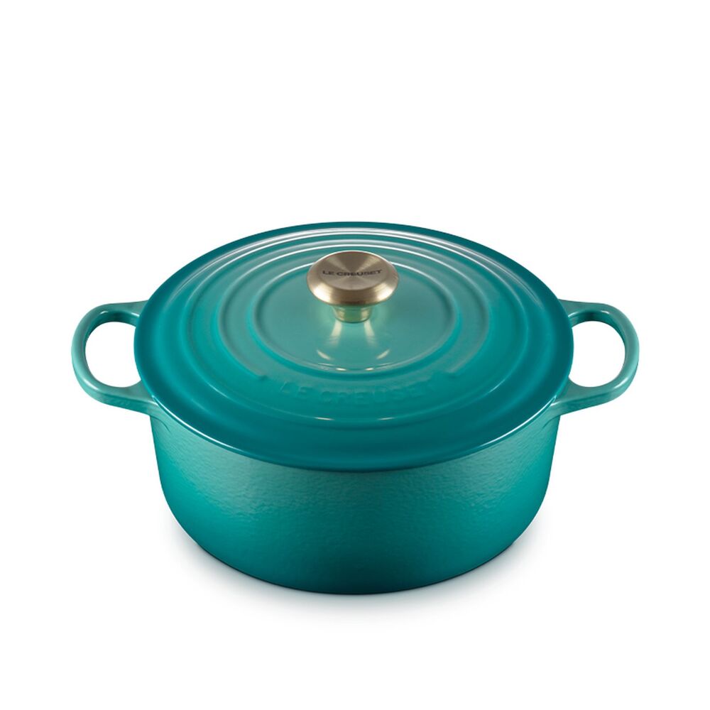 Le Creuset Signature Enameled Cast Iron Dutch Oven 5.5 Qt Blue Riviera New